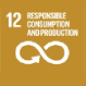 12 responsible consumption production